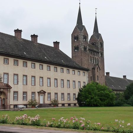 Gaestehaus Am Raeuschenberg Höxter Exteriör bild