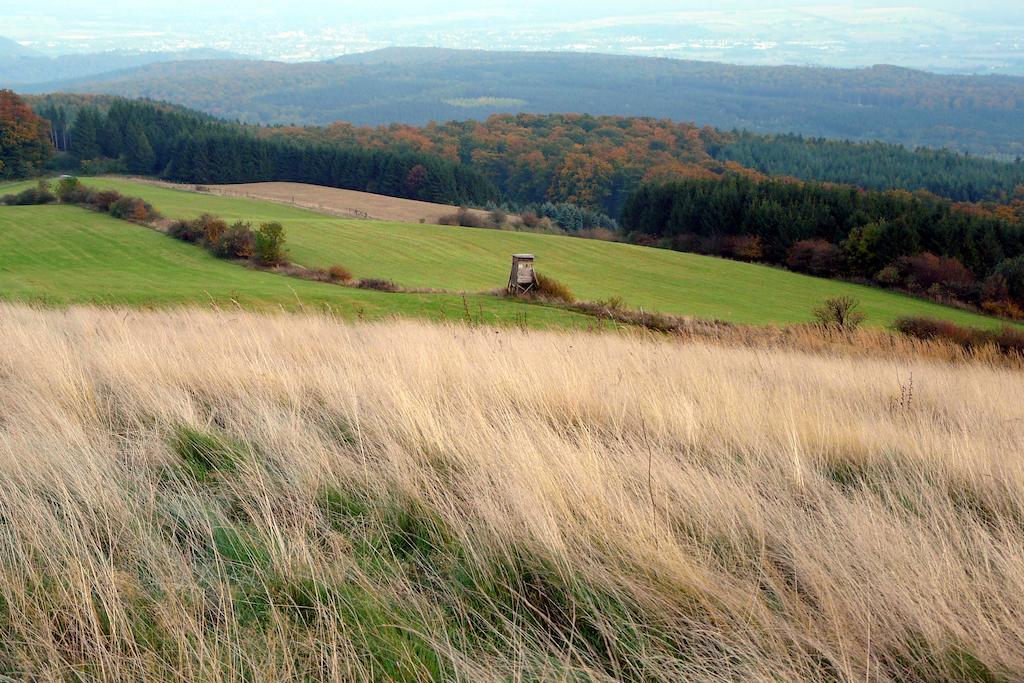 Gaestehaus Am Raeuschenberg Höxter Exteriör bild